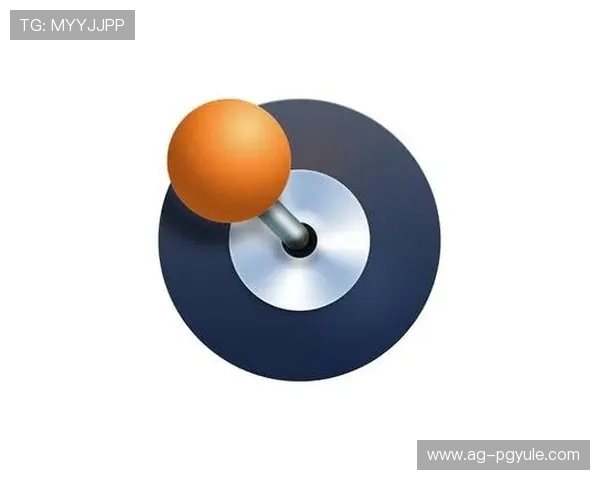 最新版本的pg电子网娱乐app功能全面，满足不同玩家的多样需求