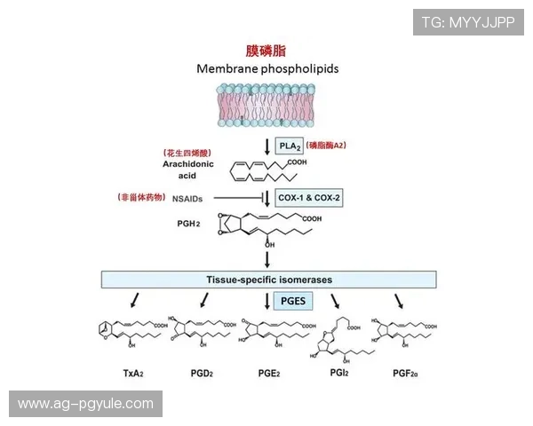 PG官网化验所报告查询步骤及常见问题解答全攻略
